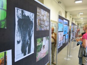 Galeriebild
