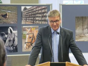 Galeriebild