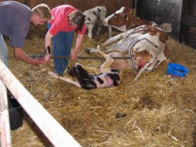 Klassenfahrt der 6a zur Burg Bischofsetin