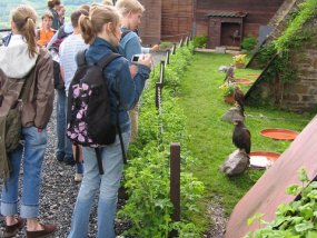 Klassenfahrt der 6a zur Burg Bischofsetin