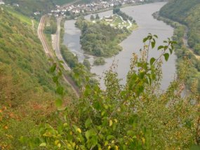 Klassenfahrt der 6a zur Burg Bischofstein