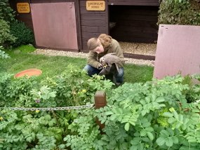Klassenfahrt der 6a zur Burg Bischofstein