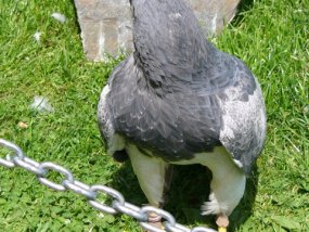 Klassenfahrt der 6c zur Burg Bischofstein