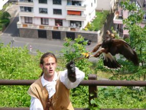 Klassenfahrt der 6c zur Burg Bischofstein