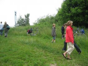 Galeriebild