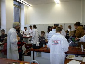 Galeriebild